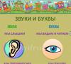 Конспект фронтального занятия в подготовительной группе